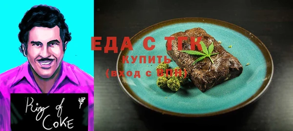 индика Кинешма