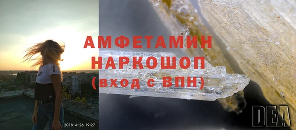 индика Кинешма
