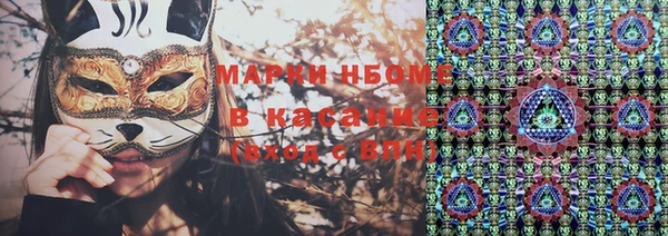 индика Кинешма