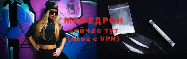 индика Кинешма