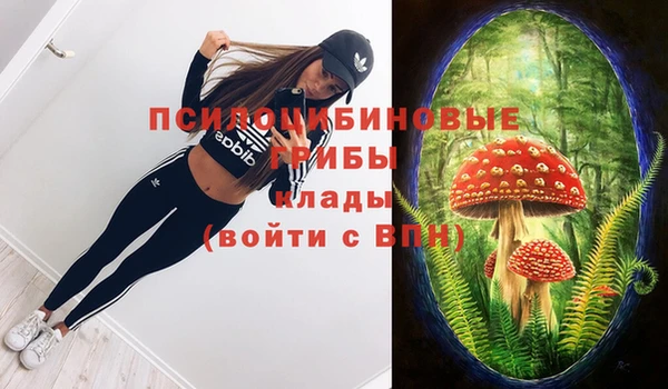 индика Кинешма