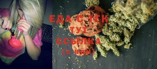 индика Кинешма
