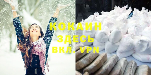 индика Кинешма