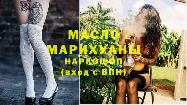 индика Кинешма