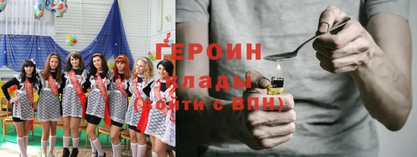 индика Кинешма