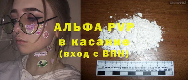 индика Кинешма