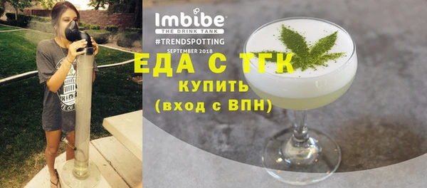индика Кинешма